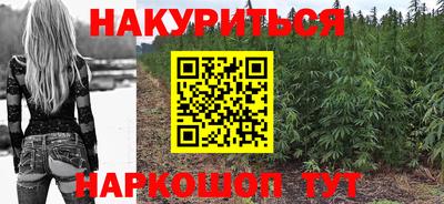 мдпв Ногинск