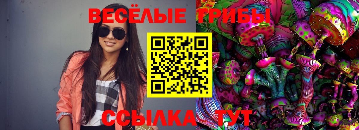 Псилоцибиновые грибы Cubensis Димитровград